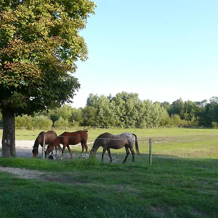 Holiday home De Monsalut